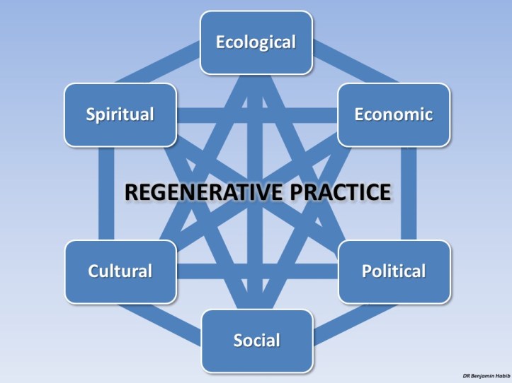 Elements of regenerative practice. Ideally a holistic regenerative politics should be mutually-reinforcing across all of these elements.