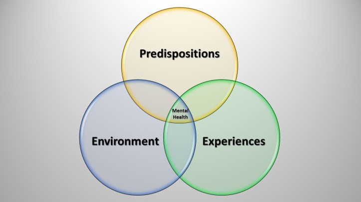 Mental health = predispositions, environment and experiences.