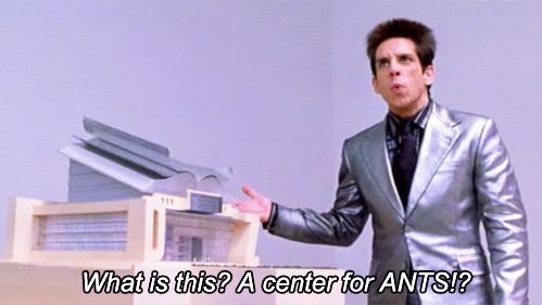what-is-this-a-center-for-ants-zoolander